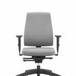 Goal ergonomic swivel chair