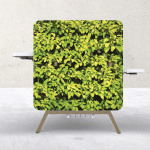 picture standup desk