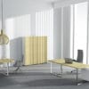 PLANA executive desk