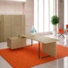PLANA executive desk