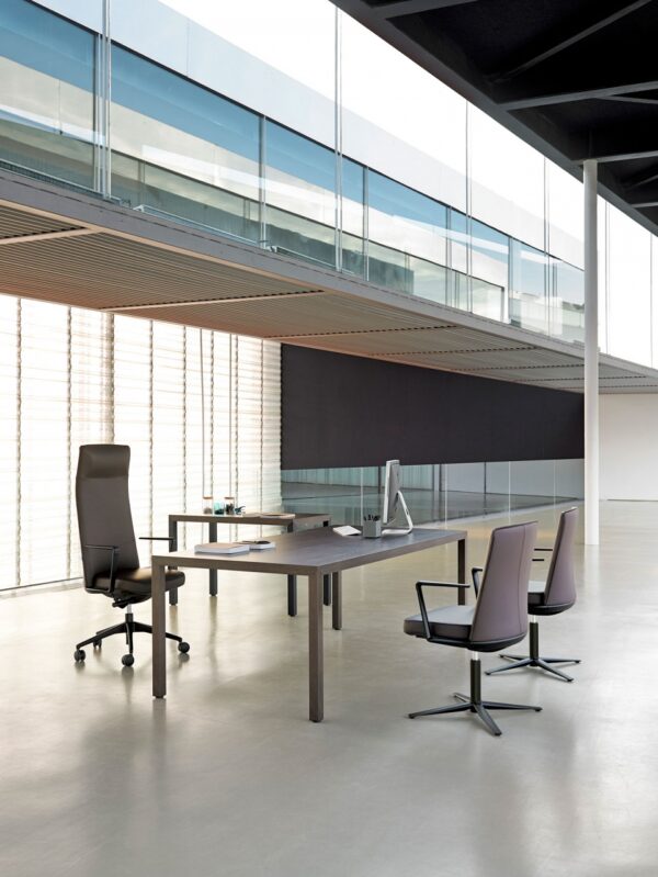 PRISMA executive office