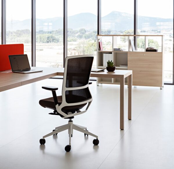 PRISMA executive office