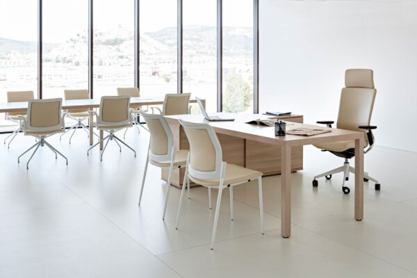 PRISMA executive office