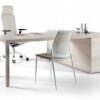 PRISMA executive office