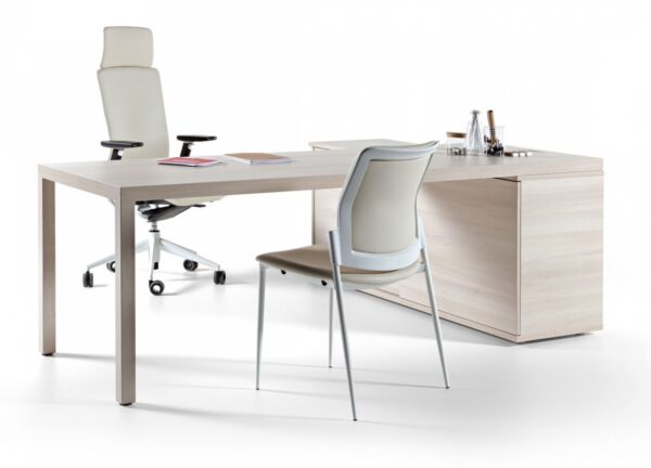 PRISMA executive office