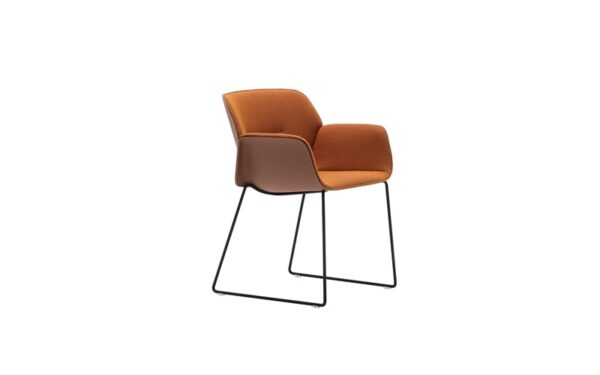 NUEZ meeting chair