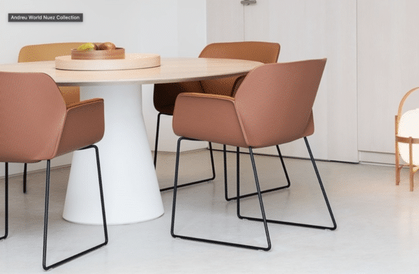 NUEZ meeting chair